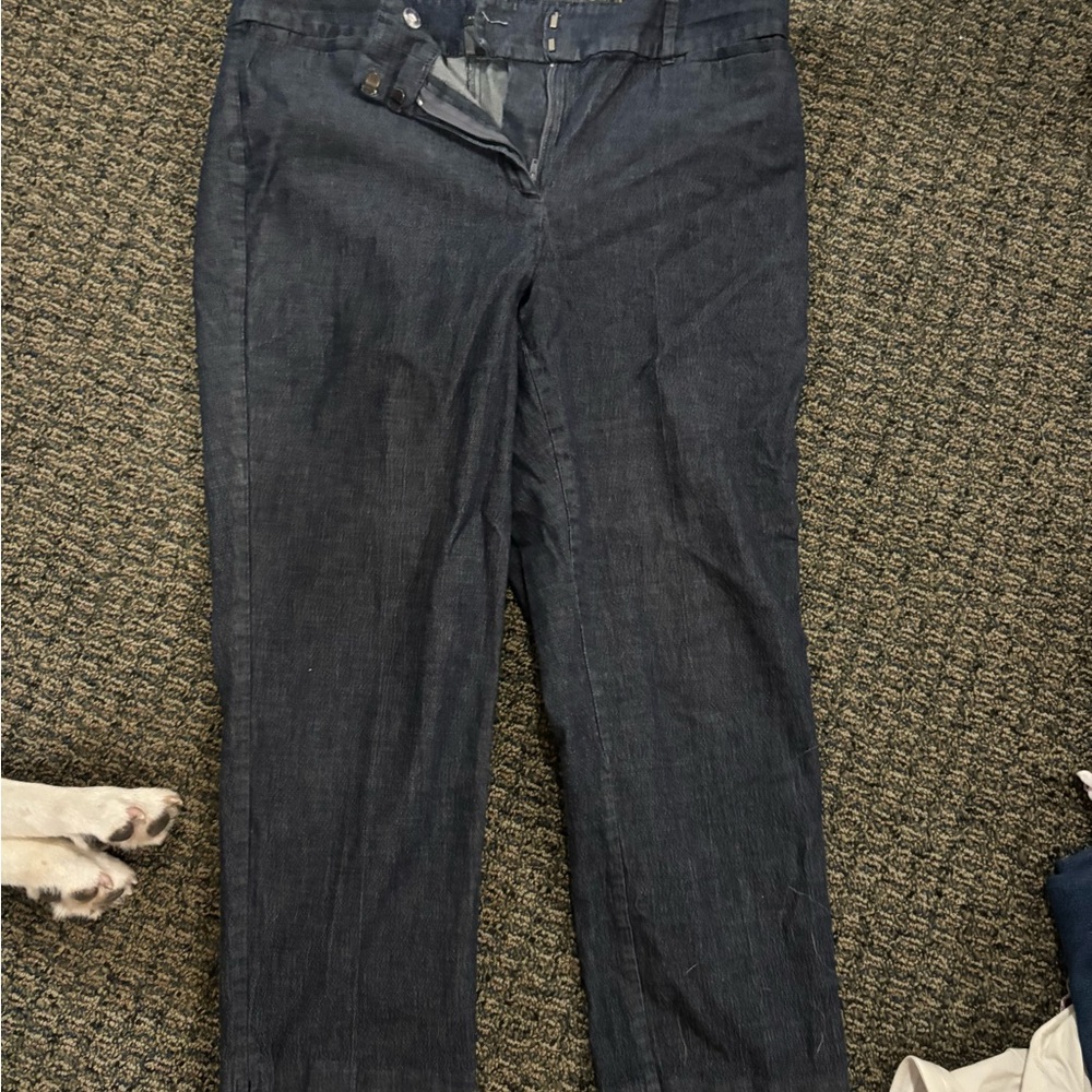 Ann Taylor Factory Midnight Blue Straight Leg Jeans